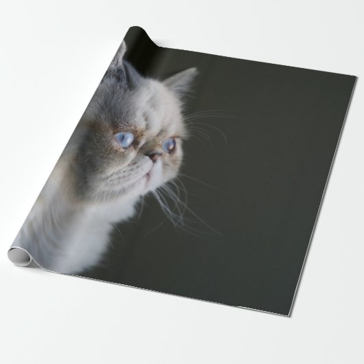 BLAUWE GAZE CADEAUPAPIER (Uitgerold)
