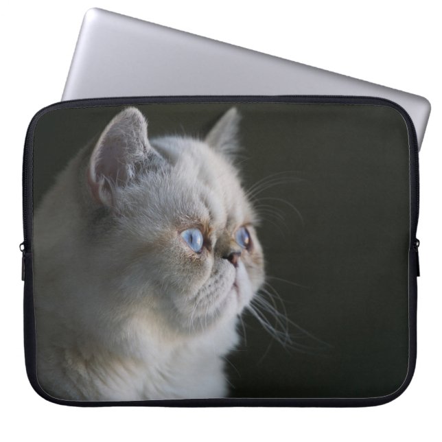 BLAUWE GAZE LAPTOP SLEEVE (Voorkant)