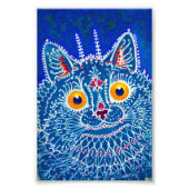 Blauwe geitenkat foto afdruk (Voorkant)