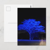 Blauwe gekleurde boom briefkaart (Voorkant / Achterkant)