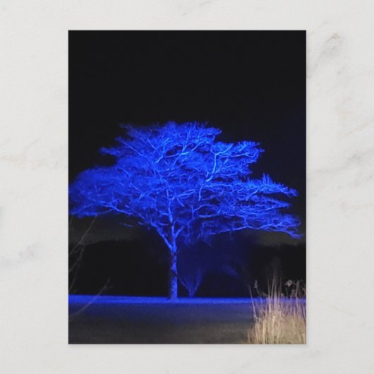 Blauwe gekleurde boom briefkaart (Voorkant)