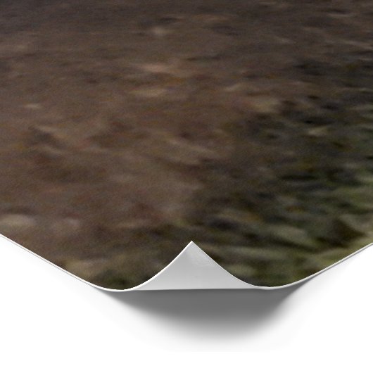 Blauwe gekleurde boom poster (Hoek)