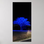 Blauwe gekleurde boom poster (Voorkant)