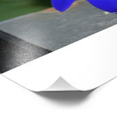 Blauwe gekleurde dagen foto afdruk (Hoek)