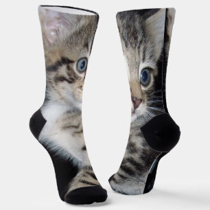 Blauwe gekleurde fluffy Kitten, Sokken van bemanni