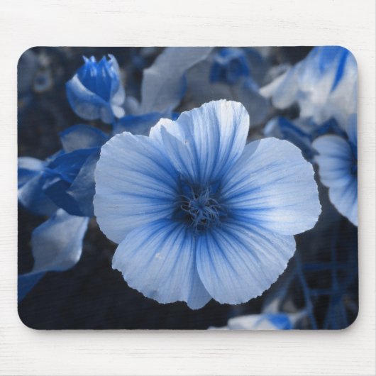 Blauwe gekleurde Lavatera Muismat (Voorkant)