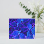 Blauwe gekleurde plant coleus briefkaart (Staand voorkant)