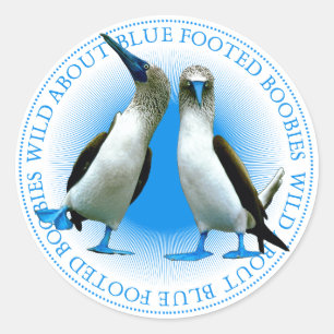 Blauwe gekookte hommels ronde sticker