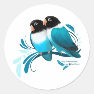 Blauwe gemaskerde kovevogels ronde sticker