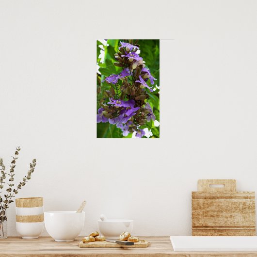 Blauwe gember poster (Keuken)