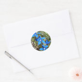 Blauwe gentiaanbloemen sticker (Envelop)