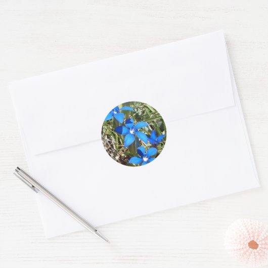 Blauwe gentiaanbloemen sticker (Envelop)