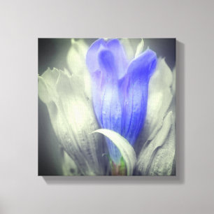 Blauwe Gentian-ventilator gedeeltelijke kleur Canvas Afdruk