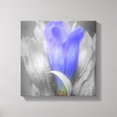 Blauwe Gentian-ventilator gedeeltelijke kleur Canvas Afdruk (Voorkant)