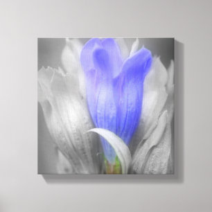 Blauwe Gentian-ventilator gedeeltelijke kleur Canvas Afdruk