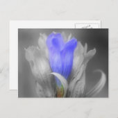 Blauwe gentian-ventilator in zwart-wit briefkaart (Voorkant / Achterkant)