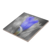 Blauwe gentian-ventilator in zwart-wit tegeltje (Zijkant)