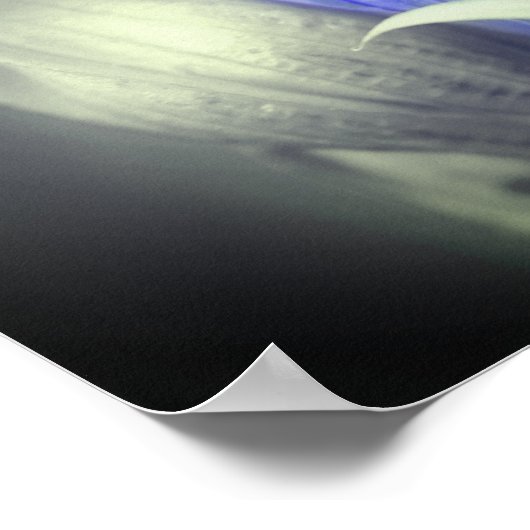 Blauwe Gentian-ventilator zwart-wit, gedeeltelijke Poster (Hoek)