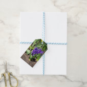 Blauwe Geocinth in de lente Cadeaulabel (Met Touw)