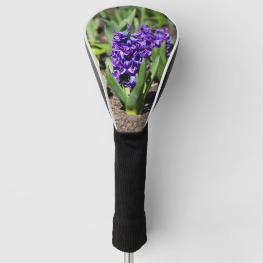 Blauwe Geocinth in de lente Golfheadcover (Voorkant)