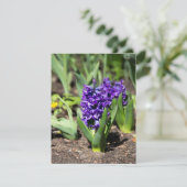 Blauwe Geocinth in de lente Kaart (Staand voorkant)