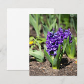 Blauwe Geocinth in de lente Kaart (Voorkant / Achterkant)