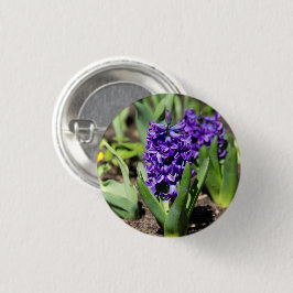 Blauwe Geocinth in de lente   Ronde Button 3,2 Cm