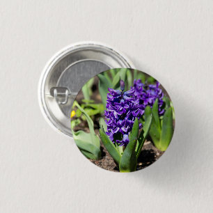 Blauwe Geocinth in de lente Ronde Button 3,2 Cm