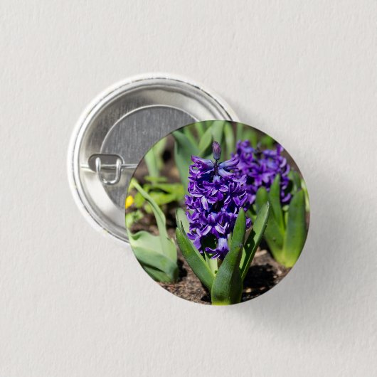 Blauwe Geocinth in de lente Ronde Button 3,2 Cm (Voorkant /achterkant)