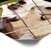 blauwe geoogte poster (Hoek)