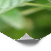 Blauwe gepotte vlinderdruk poster (Hoek)