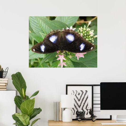 Blauwe gepotte vlinderdruk poster (Thuiskantoor)