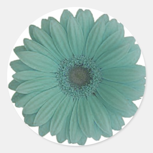 Blauwe gerber madeliefje ronde sticker (Voorkant)