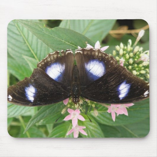 Blauwe Gespikkelde Vlinder Muismat (Voorkant)