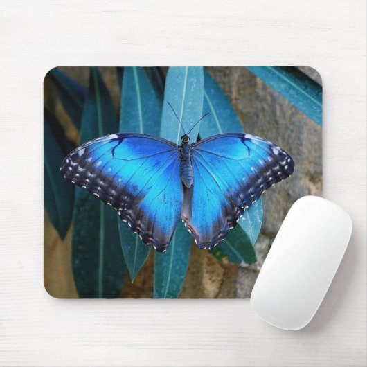Blauwe gewone Morpho vlinder Muismat (Met muis)