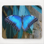 Blauwe gewone Morpho vlinder Muismat (Voorkant)
