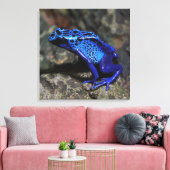 Blauwe gifkikker, bruine kikker canvas afdruk (Insitu (Woonkamer))