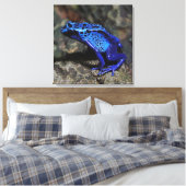Blauwe gifkikker, bruine kikker canvas afdruk (Insitu (Slaapkamer))