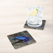 Blauwe gifkikker, bruine kikker kartonnen onderzetters (Insitu)