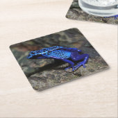 Blauwe gifkikker, bruine kikker kartonnen onderzetters (Schuin)