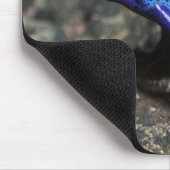 Blauwe gifkikker, bruine kikker muismat (Hoek)