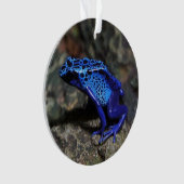 Blauwe gifkikker, bruine kikker ornament (voorkant)