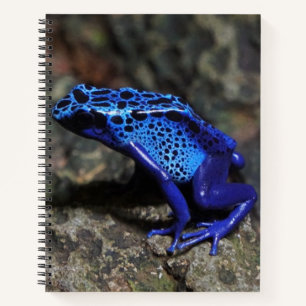 Blauwe gifkikker, Heldere blauwe kikker Notitieboek