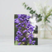 blauwe ginger briefkaart (Staand voorkant)