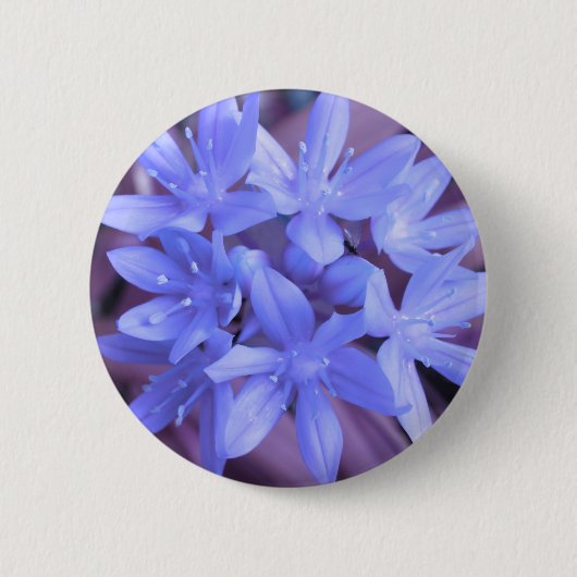Blauwe glorie van de sneeuwButton Ronde Button 5,7 Cm (Voorkant)