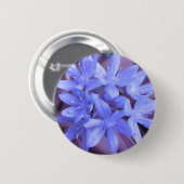 Blauwe glorie van de sneeuwButton Ronde Button 5,7 Cm (Voorkant /achterkant)