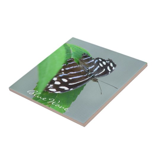 Blauwe golflengte op Leaf Foto Tegeltje (Zijkant)