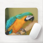 Blauwe gouden Macaw Parrot Painting Animal Art Muismat (Met muis)