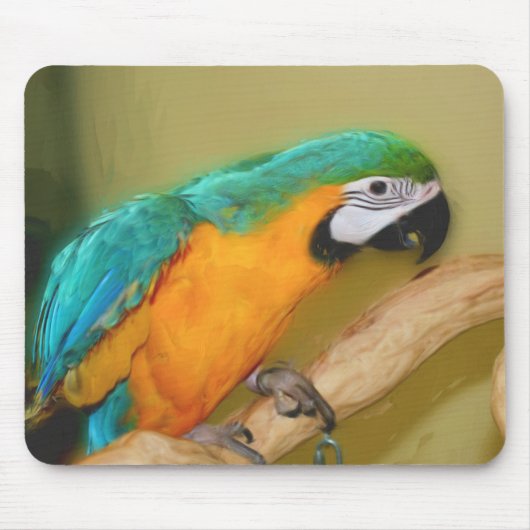 Blauwe gouden Macaw Parrot Painting Animal Art Muismat (Voorkant)