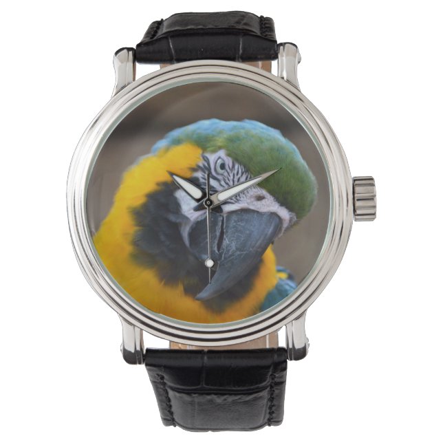 blauwe goudpapegaai horloge (Voorkant)
